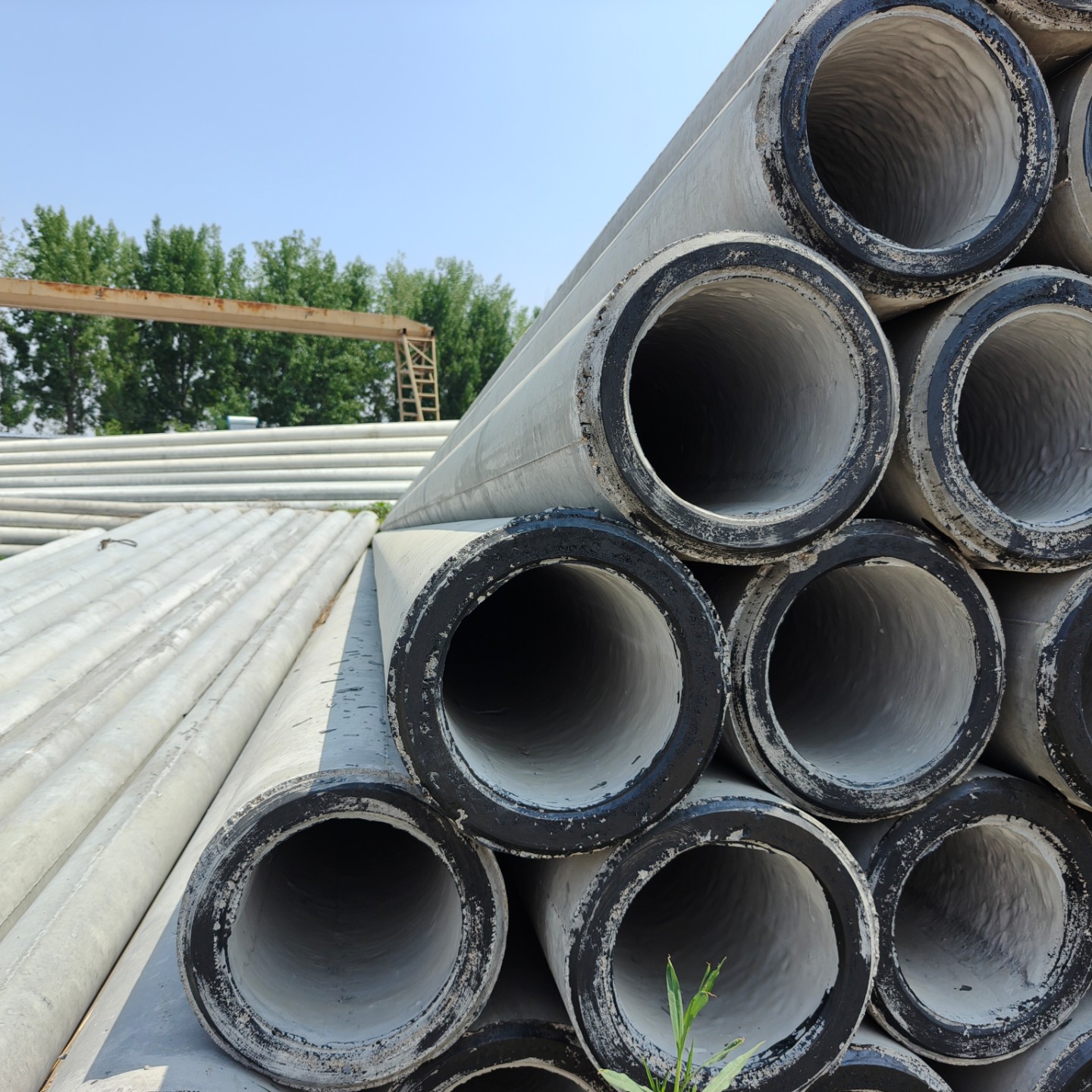 利津10米预应力水泥电杆